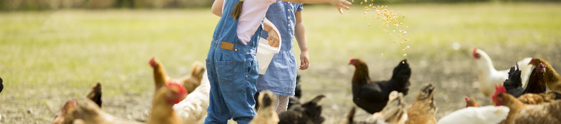 Vimar Animal Health