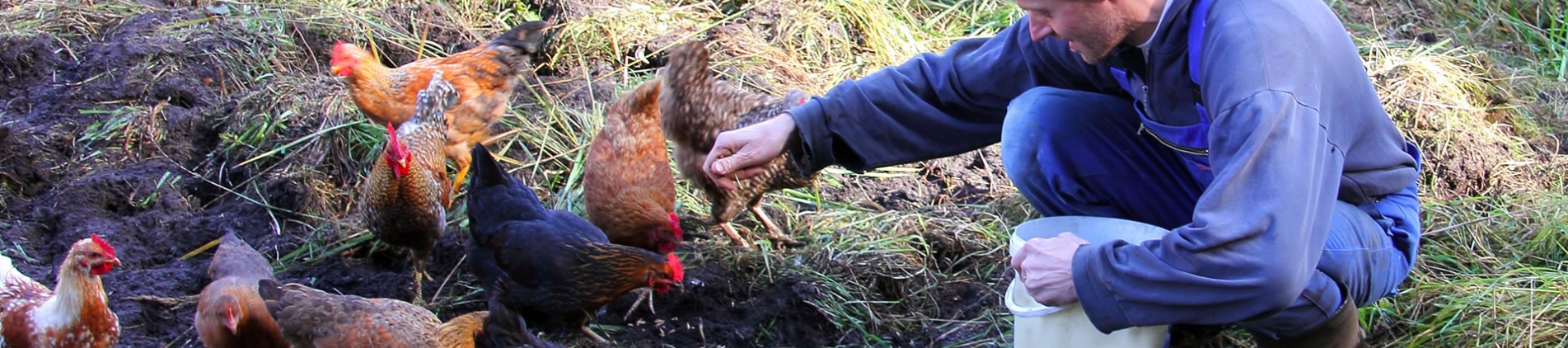 Vimar Animal Health