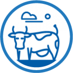 Vimar Hayvan Sağlığı