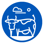 Vimar Hayvan Sağlığı