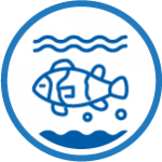 Vimar Hayvan Sağlığı