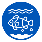 Vimar Hayvan Sağlığı